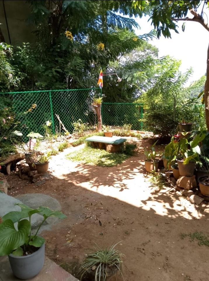 Pasan Guest Bed and Breakfast Ella Εξωτερικό φωτογραφία