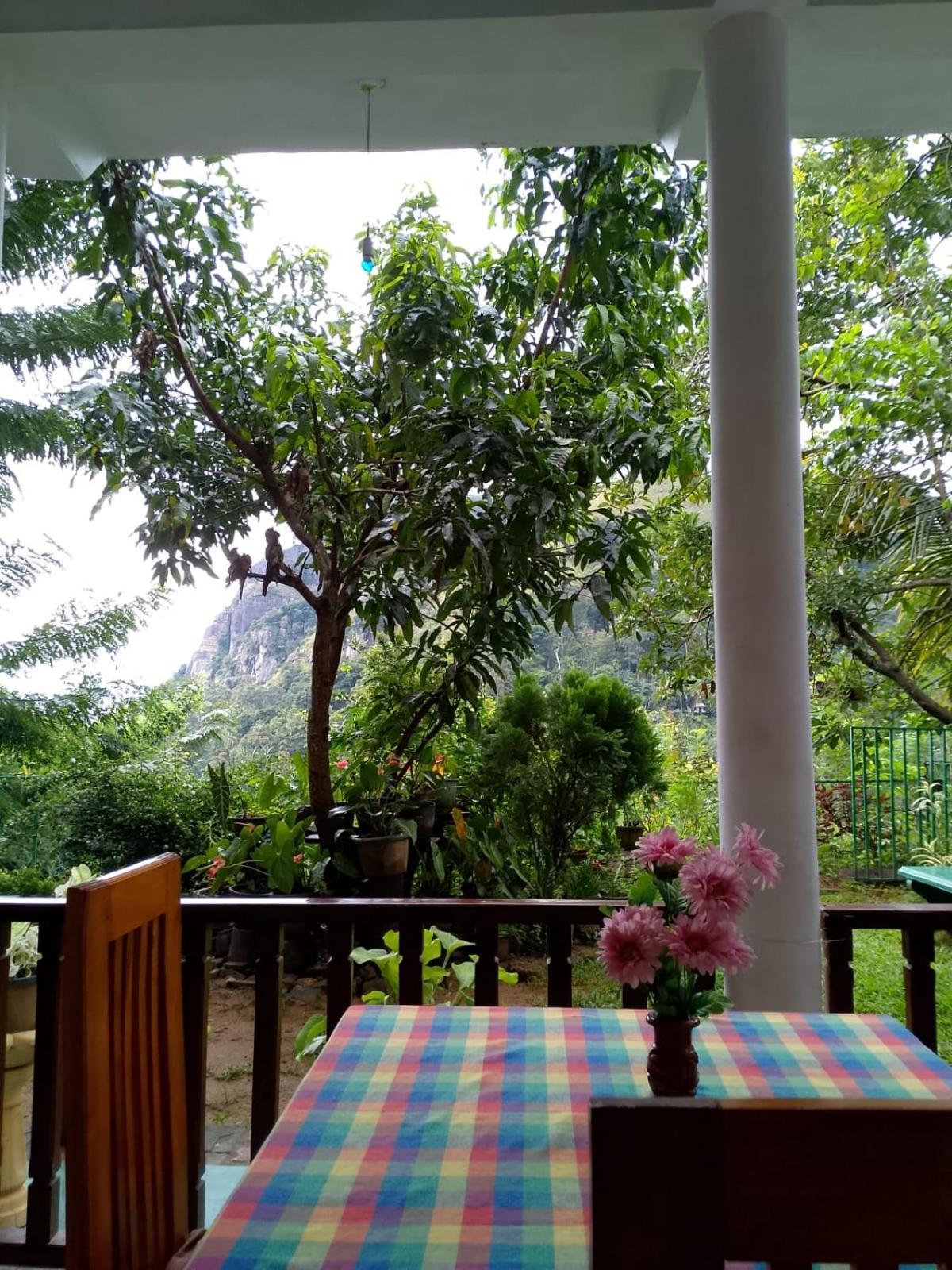 Pasan Guest Bed and Breakfast Ella Εξωτερικό φωτογραφία