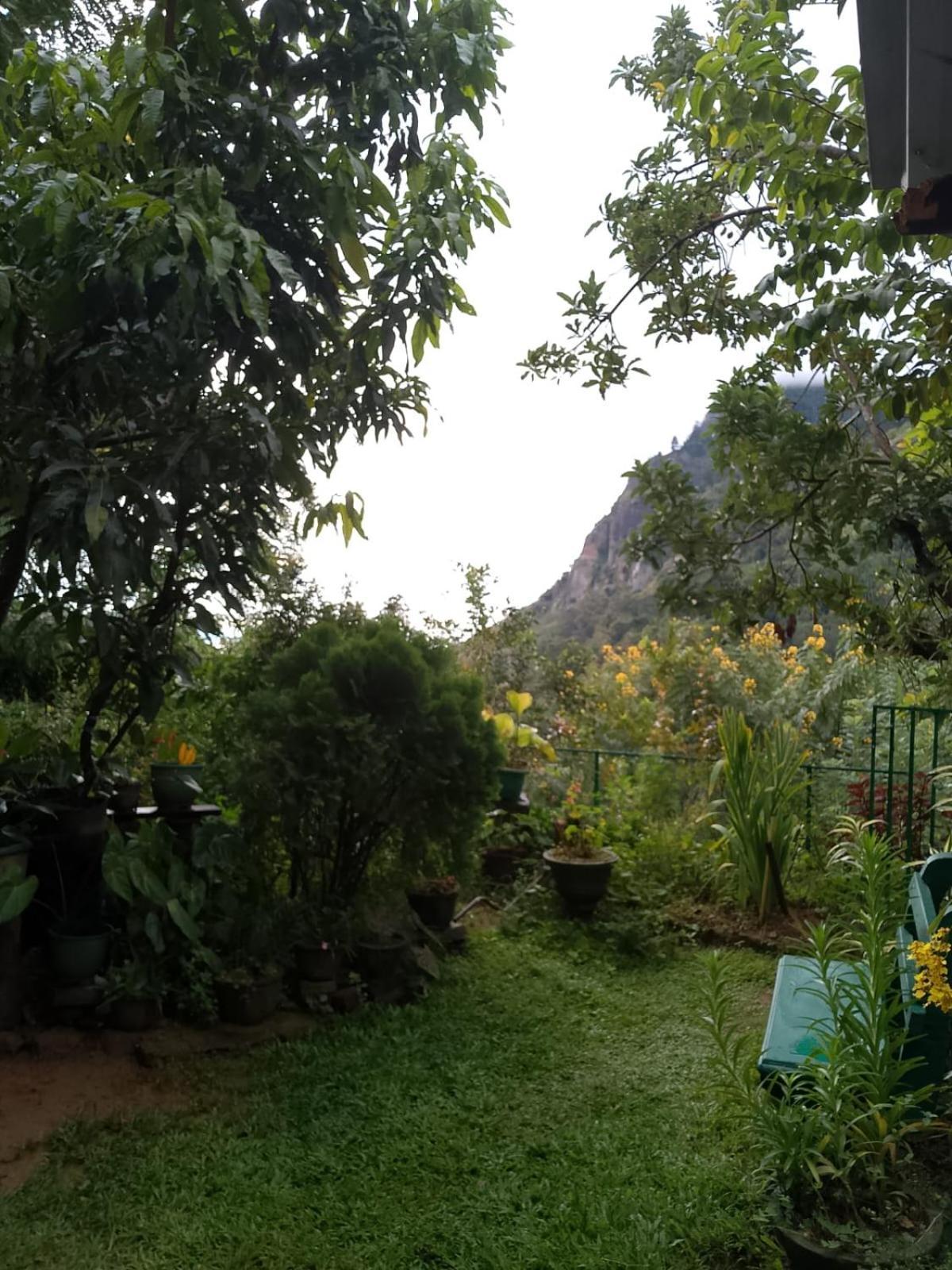 Pasan Guest Bed and Breakfast Ella Εξωτερικό φωτογραφία